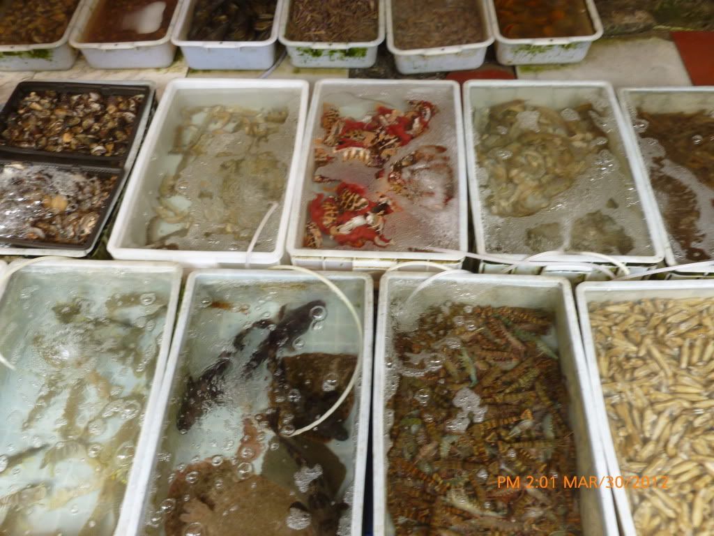 best chinese seafood is still the place of origin.